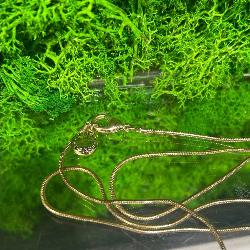 BCBGeneration Gold Necklace 🇨🇦 - Picture 3 of 5